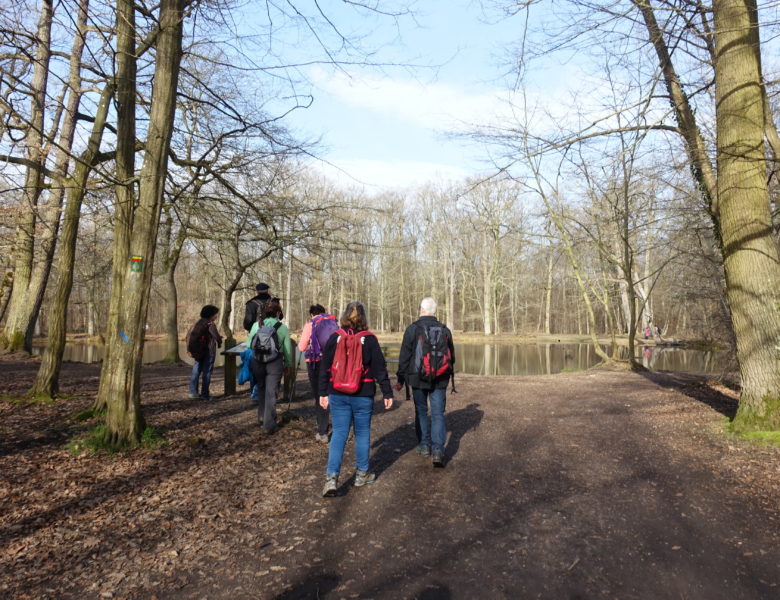 Rando dans la forêt de St Germain en Laye