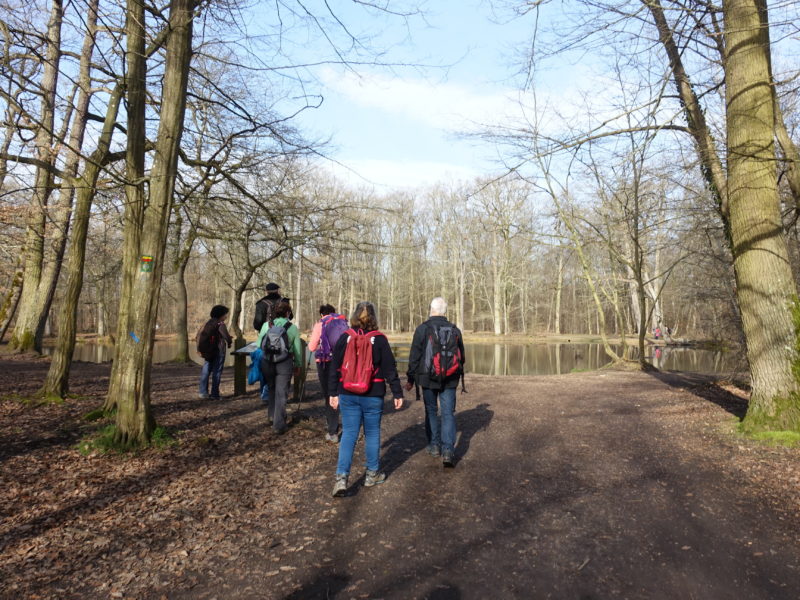 Rando dans la forêt de St Germain en Laye