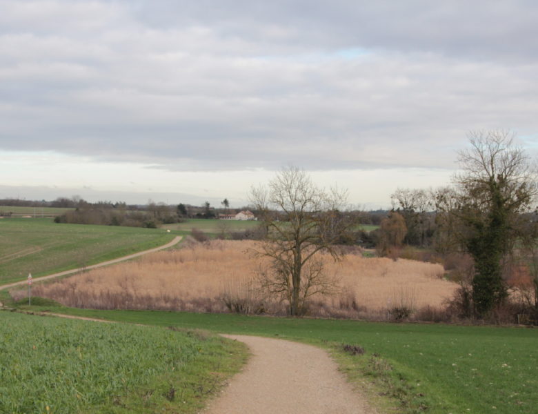 Promenade autour de Rennemoulin (78)