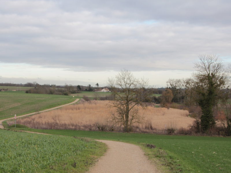 Promenade autour de Rennemoulin (78)