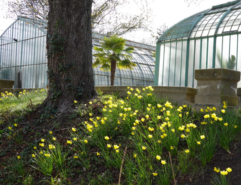 Le jardin des Serres d’Auteuil