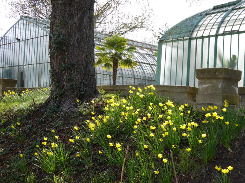 Le jardin des Serres d’Auteuil