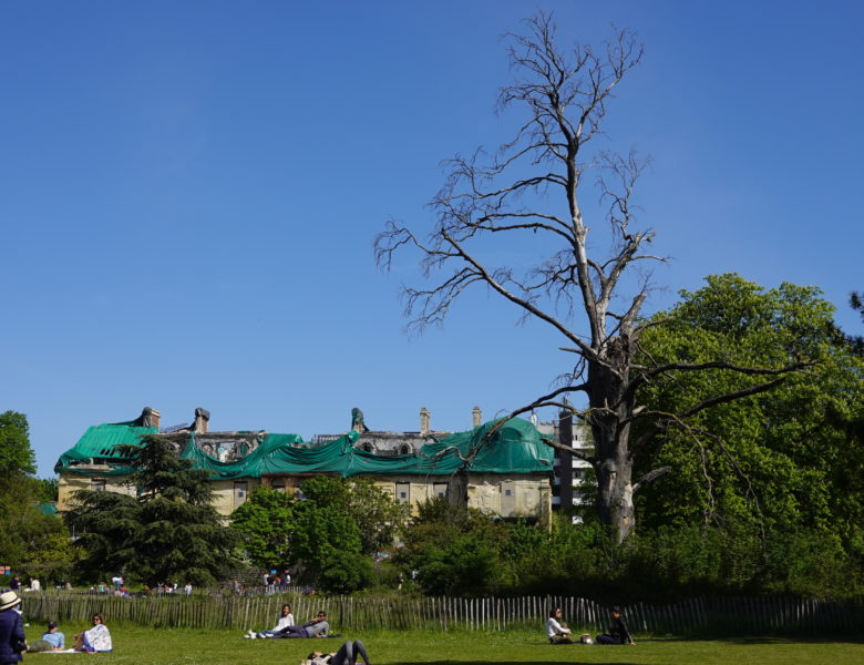 Le parc Edmond Rothschild : un bel espace à découvrir à Boulogne