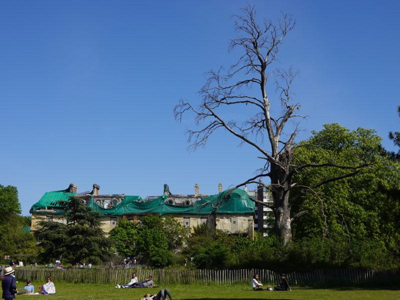 Le parc Edmond Rothschild : un bel espace à découvrir à Boulogne