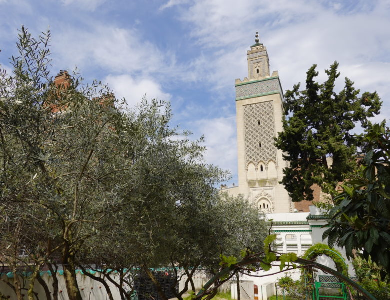 Une découverte : les jardins de la Grande Mosquée