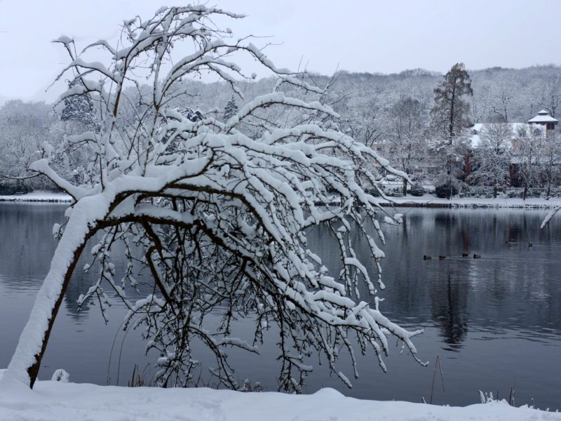 Neige à Ville d’Avray