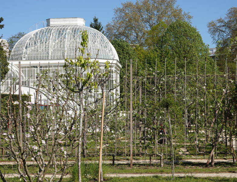 Le Jardin Albert Kahn : toujours un émerveillement