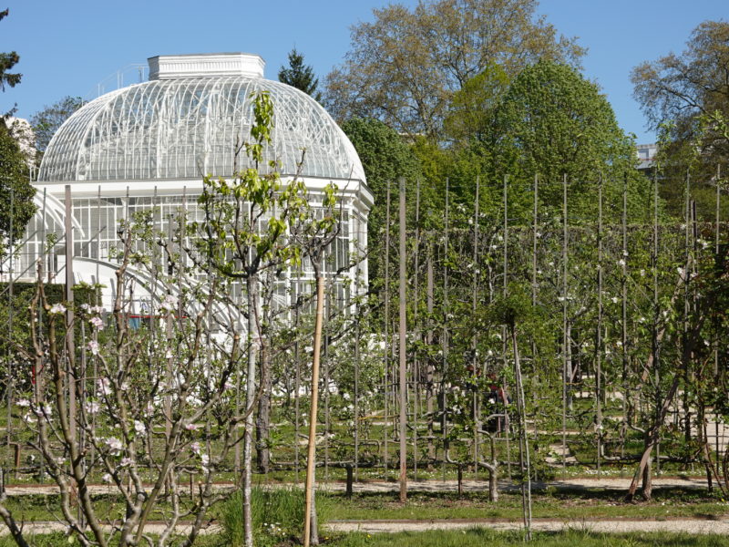 Le Jardin Albert Kahn : toujours un émerveillement