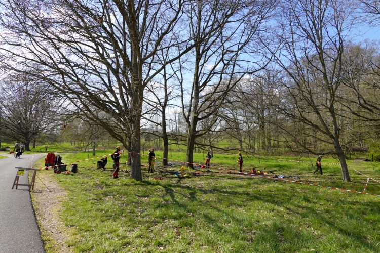 Un cours d'élagage ... Qui ne voudrait pas être payé pour grimper aux arbres ??