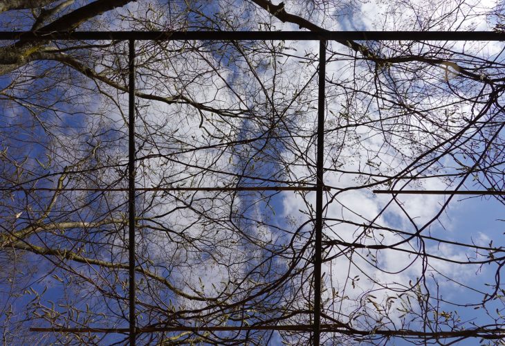 Vision du ciel, allongée sur un banc