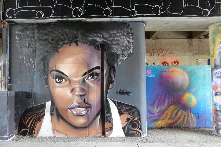 Lunerartist Cynthiastreetart